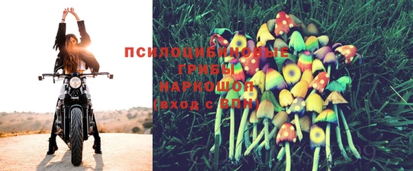mdpv Ростов