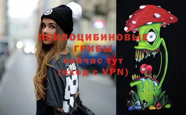 не бодяженный Рославль