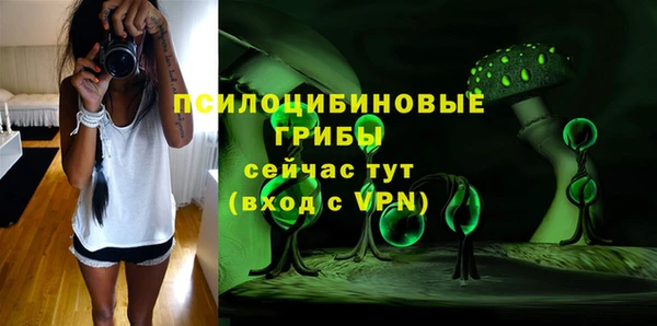 амф Алексеевка
