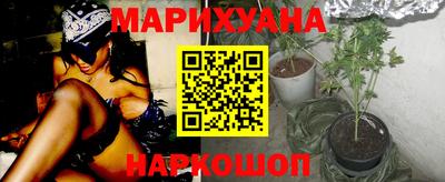 Альфа ПВП Лесосибирск
