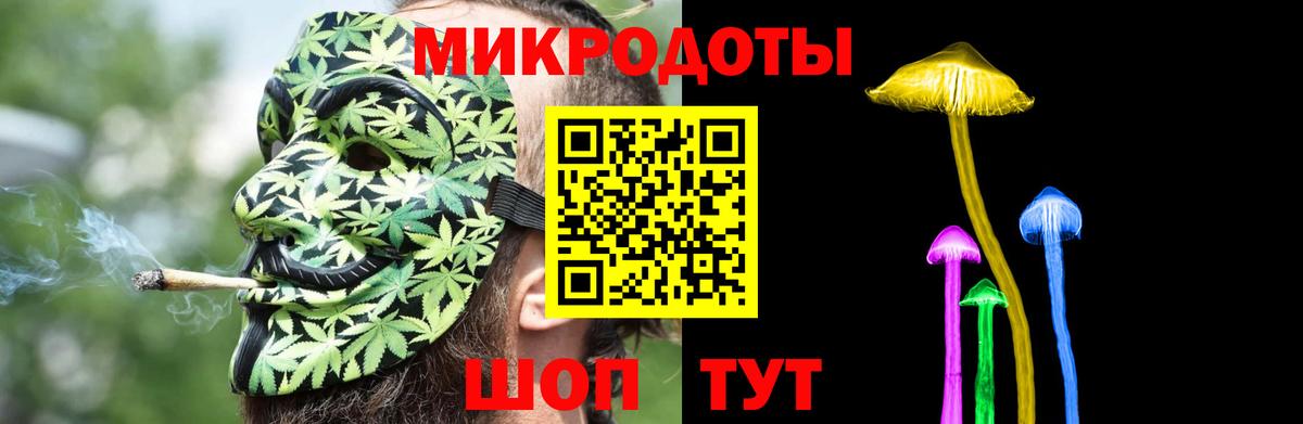 Псилоцибиновые грибы Cubensis Джанкой