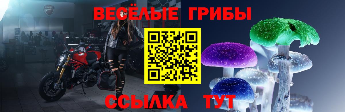 Джанкой  Псилоцибиновые грибы Psilocybine cubensis  Вход с VPN 